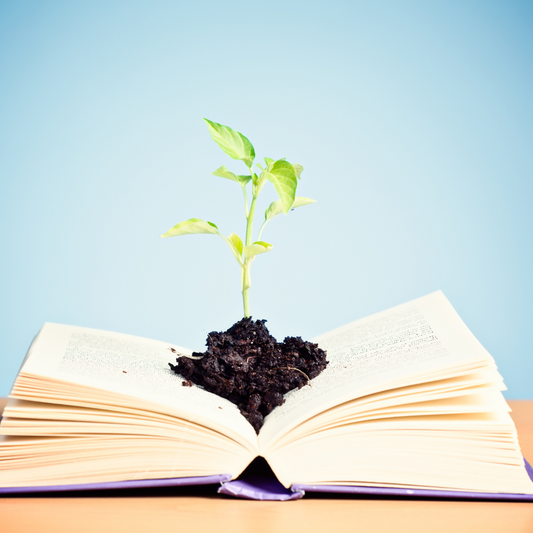 Embarking on a Spiritual Journey: 11 Enlightening Books to Read
